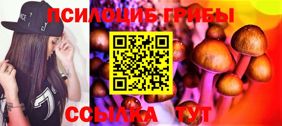 Рославль  Псилоцибиновые грибы MAGIC MUSHROOMS  Вход с VPN 
